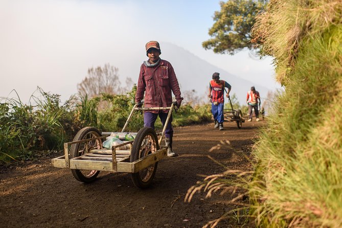 From Bali : Bromo & Kawah Ijen – 3-Day Adventure - Who should book this volcano trip?