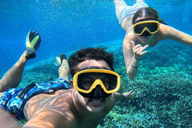 From Bali: Nusa Penida Full Day Tour and Snorkeling - Why this Nusa Penida day trip works