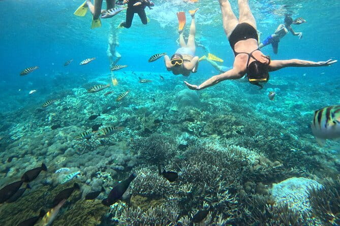 From Bali: Nusa Penida Full Day Tour and Snorkeling - Manta Bay adds a chance for larger sea life