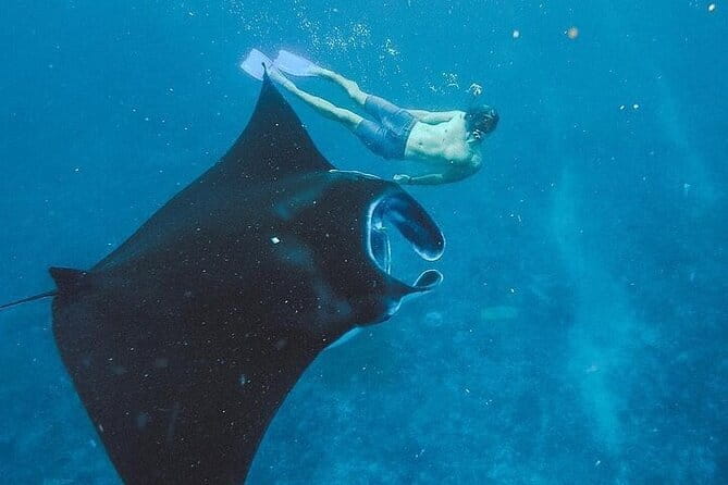From Bali: Nusa Penida Full Day Tour and Snorkeling - Timing, fitness, and the reality of a full day