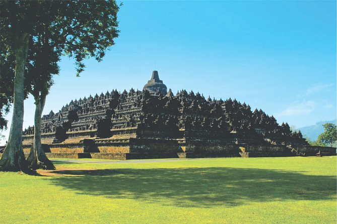 From Semarang Port: Borobudur Temple Private Shore Excursion - Meeting your guide at Tanjung Emas Harbour