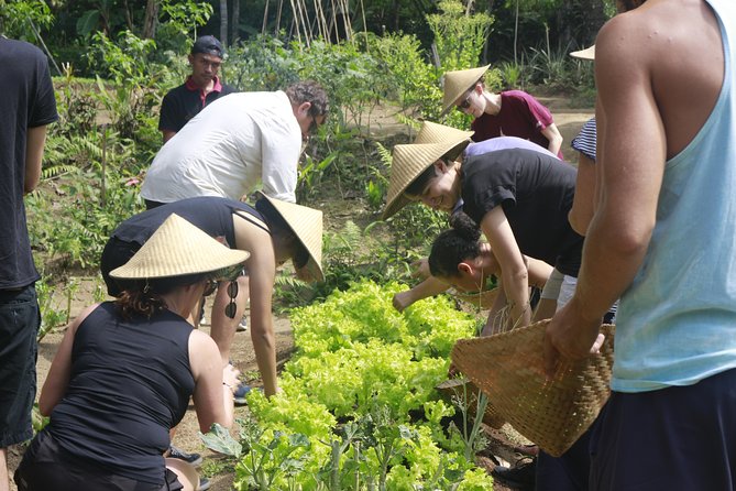 From Ubud: Authentic Bali Farm Cooking School & Organic Farm - Who will get the most from this farm cooking class
