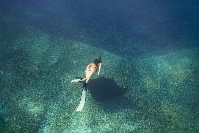 Full-Day Adventure Tour to komodo Island with join Speed Boat tur - Padar Island: a hard climb with a famous reward