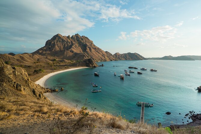 Full-Day Adventure Tour to komodo Island with join Speed Boat tur - Pink Beach: an hour for sand, swimming, and snorkeling