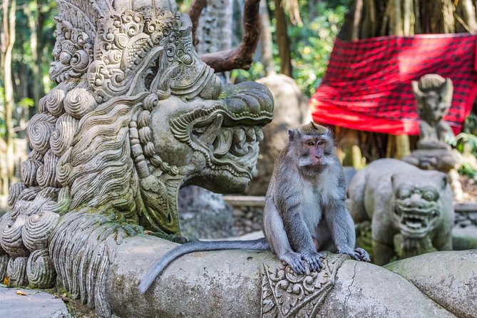 Full-Day Ayung River White Water Rafting and Ubud Tour - Tegenungan Waterfall closes the route