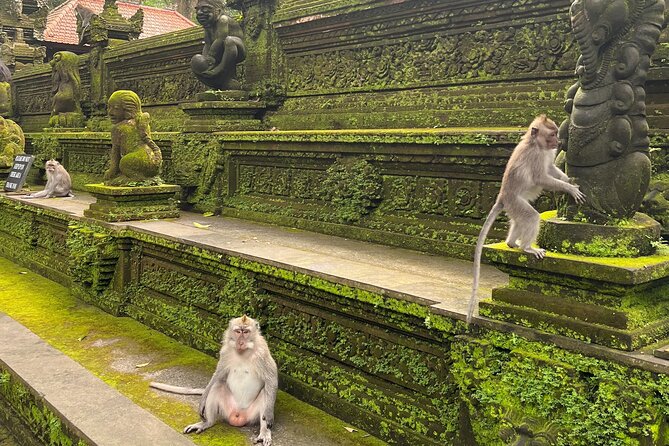 Full Day Best of Ubud Private Tour - Tirta Empul asks you to slow down