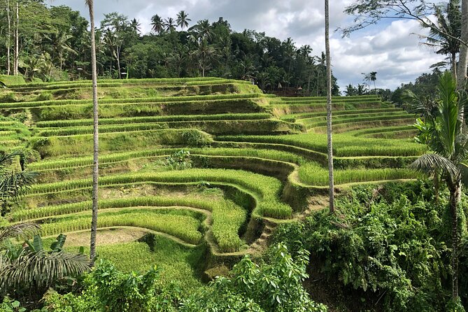 Full-Day Highlights and Best of Ubud Village - Tegenungan Waterfall starts the day with steps and scenery