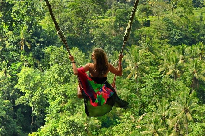 Full-Day in Bali: Private Design-Your-Own Tour - Why a private car makes Bali easier