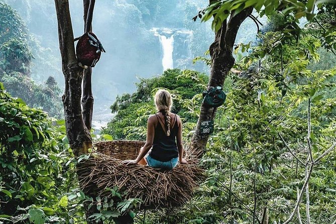 Full-Day in Bali: Private Design-Your-Own Tour - What the driver-guide adds to the day