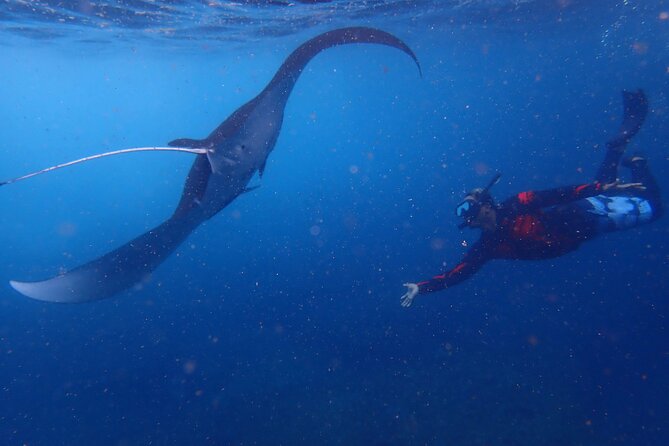 Full-Day Island-Hopping Tour from Bali - Getting set up on Nusa Lembongan