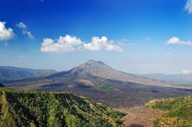 Full Day Kintamani and Penglipuran Village Private Chartered Car Tour from Bali - Penglipuran Village and its orderly traditional setting