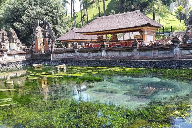 Full Day Kintamani Volcano View and Ubud Village Tour - Tegalalang Rice Terrace: beautiful, but brief