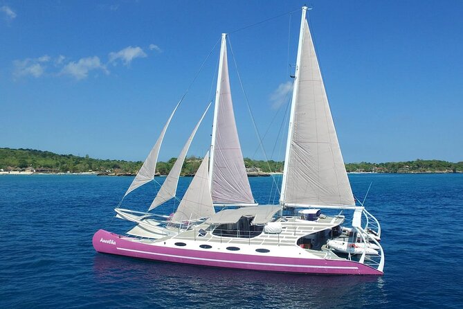 Full day Lembongan Island Catamaran Cruise with BBQ Lunch - Snorkeling, fish, and the mangrove option