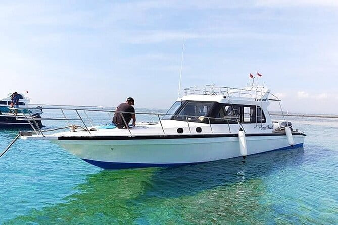 Full-Day Nusa Penida Island with Snorkeling from Bali - Why the manta encounter shapes the whole day