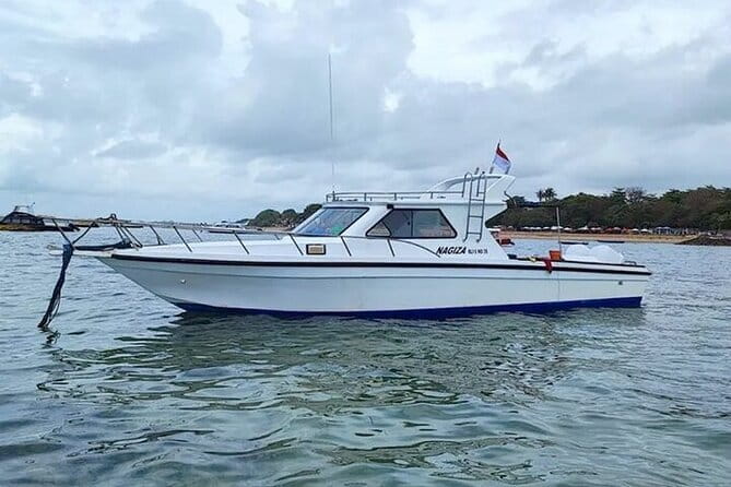 Full-Day Nusa Penida Island with Snorkeling from Bali - Manta Bay, Gamat Bay, and Crystal Bay