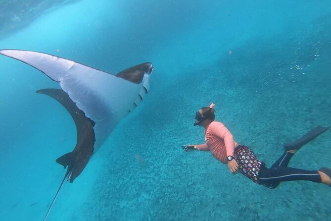 Full Day Nusa Penida Manta Point Snorkeling and West Island Tour - From Seminyak to Sanur Harbour