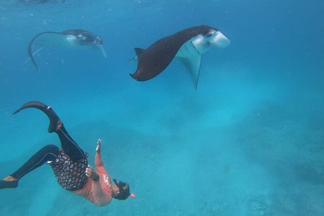 Full Day Nusa Penida Manta Point Snorkeling and West Island Tour - Kelingking Beach and the famous T-Rex view