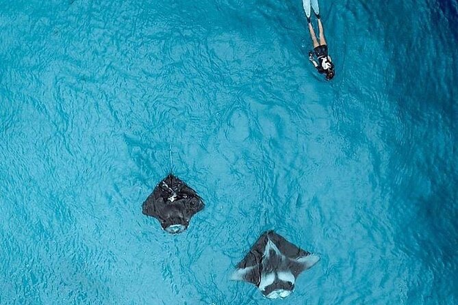 Full Day Nusa Penida Manta Point Snorkeling and West Island Tour - What the $43 price really includes