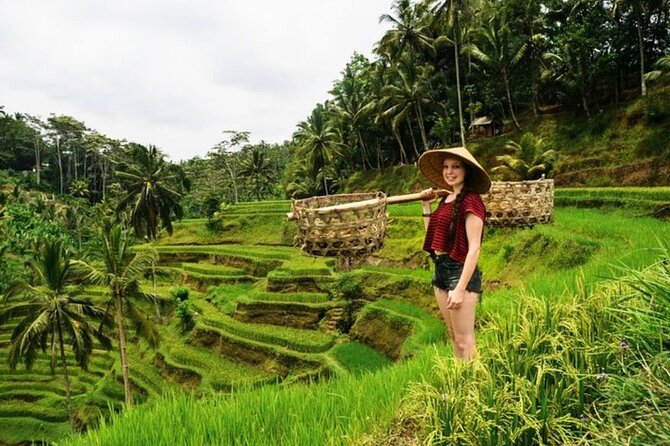 Full Day Private Guided Tour in Bali - Why this Ubud day works well