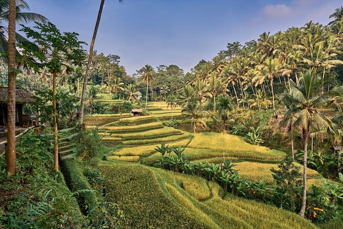 Full Day Private Guided Tour to Bali - Why this private Bali route works