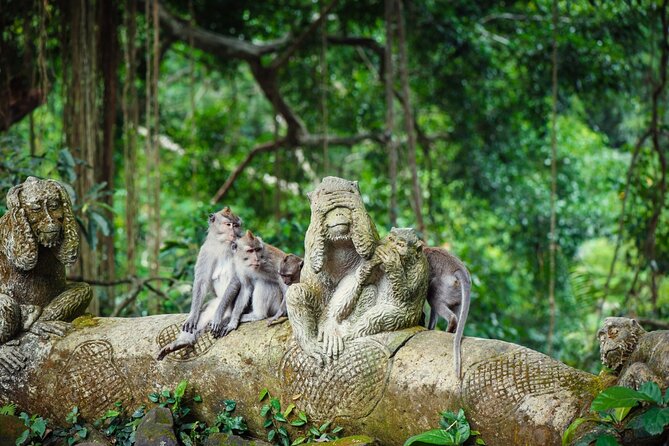 Full Day Private Guided Tour to Bali - Tegalalang Rice Terrace shows Bali’s working countryside