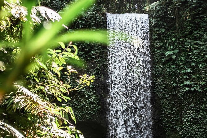 Full Day Private Tour All Inclusive Hidden Gems Bali Waterfall - What private touring changes
