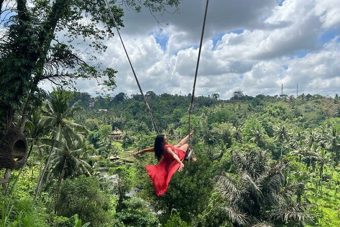 Full Day Private Tour from Tegenungan Waterfall to Tanah Lot - The private format and your driver