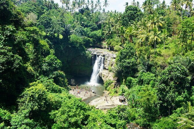 Full Day Private Tour to Ubud Waterfall and Uluwatu Sunset - Indonesian lunch in Ubud
