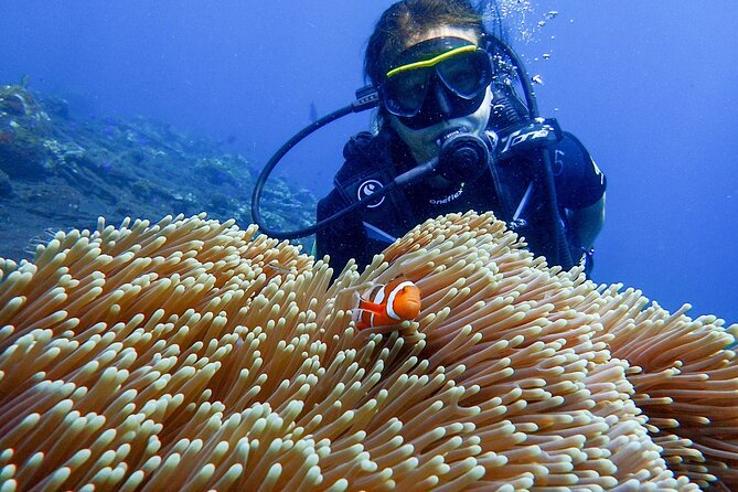 Full-Day Scuba Diving Experience of USAT Liberty in Tulamben - Why the USAT Liberty makes this a memorable underwater day