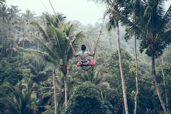 Full day Tour to Best of Ubud with jungle swing - Tegalalang Rice Terrace and the giant swing