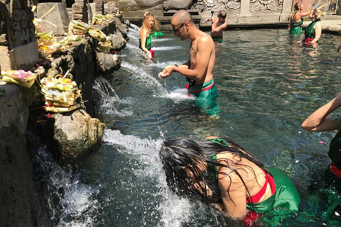 Full day Tour to Best of Ubud with jungle swing - Tegenungan Waterfall for a final swim