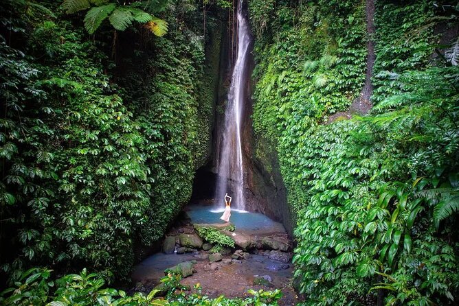 Full-Day Tour to Water Temples and UNESCO Rice Terraces in Bali - What the private driver-guide adds