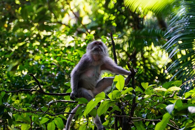 Full Day – Ubud Art Village and Mount Batur Kintamani with Lunch - Tegalalang’s rice terraces and the subak system