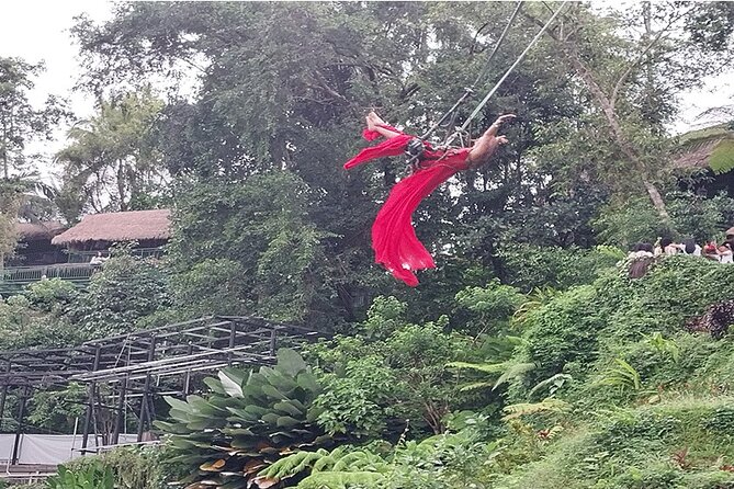 Full Day Ubud Tour - What the full-day Ubud route is really like
