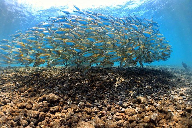 Fun Diving Tulamben Bali - For Certified Divers - What the $174.12 price includes