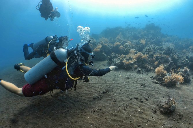 Fun Diving Tulamben Bali - For Certified Divers - What happens at the beach
