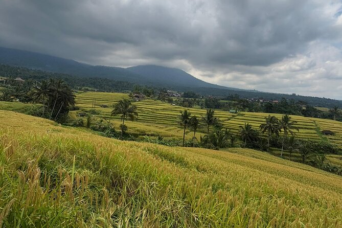 GAD Tanah Lot Tour - Why this route works for a first look at Bali