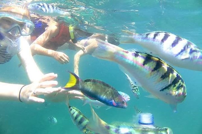 Gate Heaven Tirta Gangga With Snorkeling Private Guided Tour - Lunch by the water breaks up the long day
