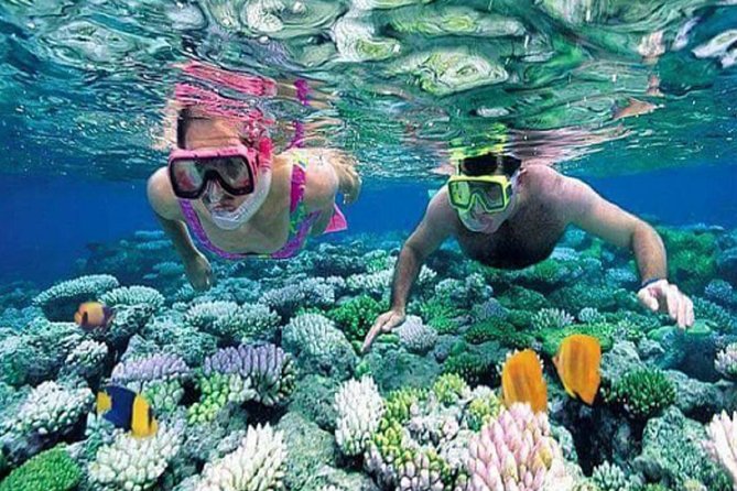 Gate Heaven Tirta Gangga With Snorkeling Private Guided Tour - Tanjung Jepun adds a second view below the surface