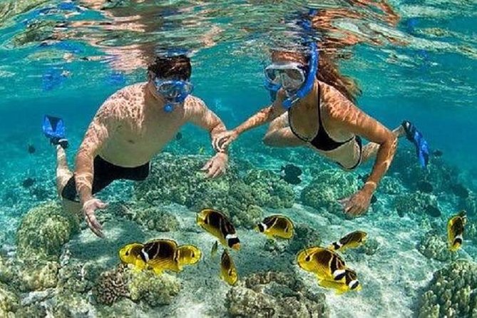 Gates of Heaven Temple and Blue Lagoon Snorkeling with All-inclusive - The road from Nusa Dua to Padangbai