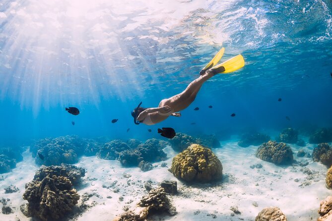 Gili Air : Private Snorkeling with 4 spots - Why the 7:00 a.m. start is worth considering