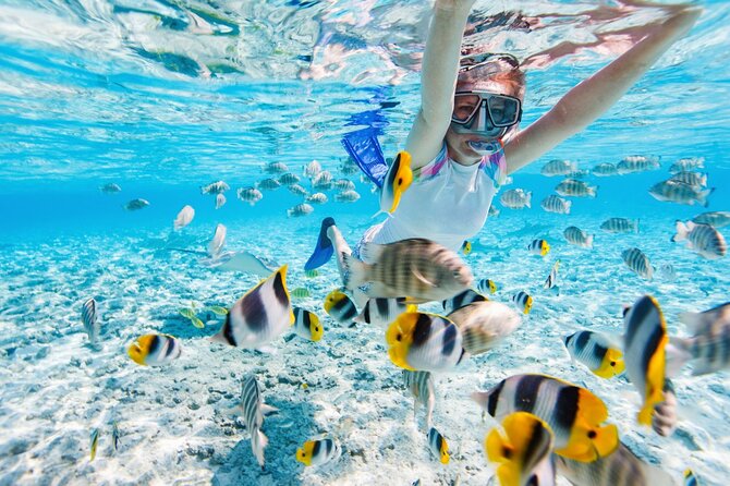 Gili Air : Private Snorkeling with 4 spots - One hour on Gili Meno for a pause