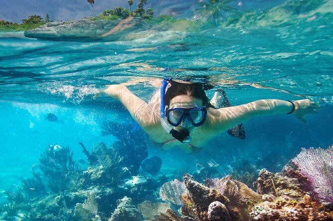 Gili Air : Private Snorkeling with 4 spots - What the crew and equipment add