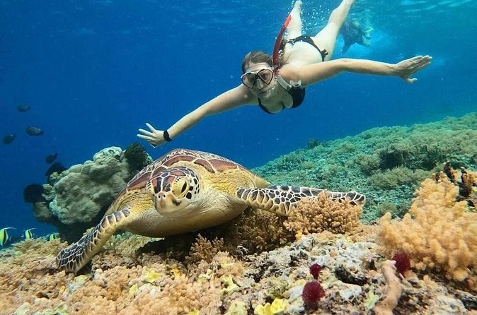 Gili Air: Snorkeling 3 Gili Islands with GoPro Camera - Glass-bottom views between the islands
