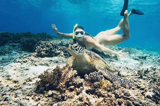 Gili Air: Snorkeling 3 Gili Islands with GoPro Camera - The underwater sculptures near Gili Meno