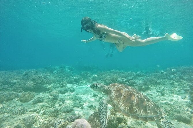 Gili island Snorkeling Half Day Trip departure from Gili Trawangan - What this Gili Trawangan snorkeling trip is really like