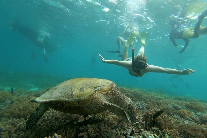 Gili island Snorkeling Half Day Trip departure from Gili Trawangan - Equipment, swimming, and comfort
