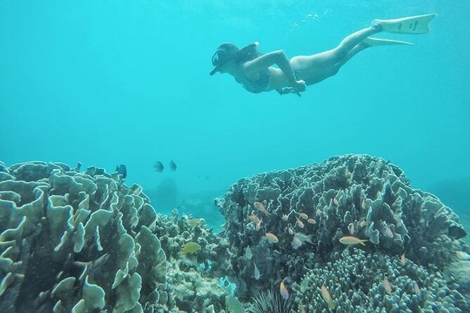 Gili island Snorkeling Half Day Trip departure from Gili Trawangan - Guides and the level of help you can expect