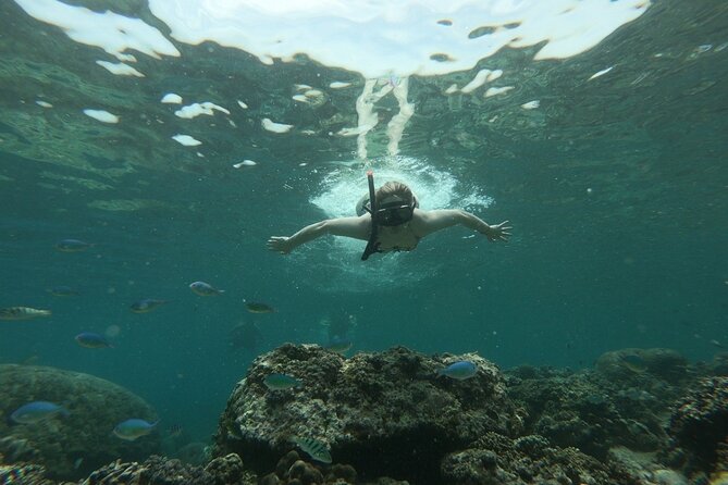 Gili island Snorkeling Half Day Trip departure from Gili Trawangan - Morning or afternoon departure?