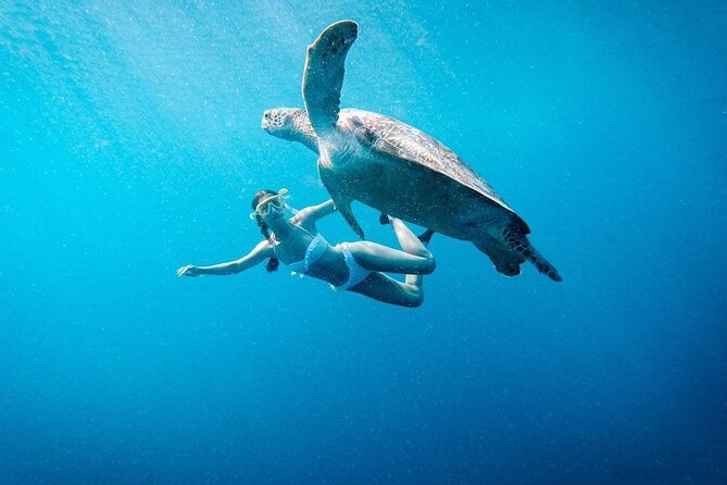 Gili Island Snorkeling Trip - Gili Trawangan, Gili Meno, & Gili Air, From Lombok - Key points to know before booking